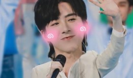 娱乐吃瓜刘宇宁视频,揭秘娱乐圈幕后故事