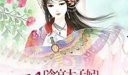 冷宫太子妃,逆袭之路