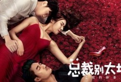 总裁别太坏之契约娇妻,契约娇妻的甜蜜逆袭