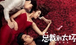 总裁别太坏之契约娇妻,契约娇妻的甜蜜逆袭