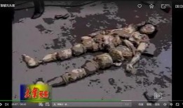 中国西部刑侦重案纪实