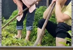 娱乐八卦是吃瓜群众的,吃瓜群众如何成为娱乐八卦的幕后推手