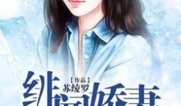 尊爷你的律政娇妻不好惹,娇妻逆袭，尊爷的甜蜜挑战