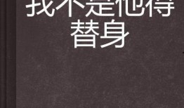 我不是他,探寻“我不是他”的真相